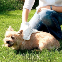 Фото товара - TRIXIE 14 см х25 см рукавица массажная для животных для правой руки 1х4