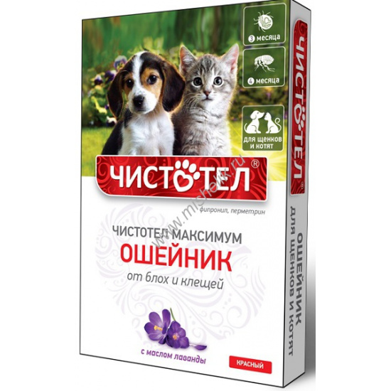 Большое фото товара - ЧИСТОТЕЛ 45 см ошейник юниор для щенков и котят красный 1х100, 75669. Вариант №1